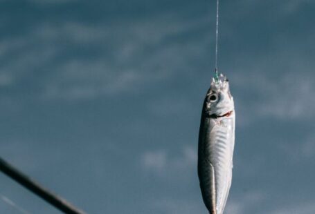 Swim Cords - Fish hanging on hook against blurred background