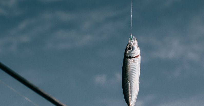 Swim Cords - Fish hanging on hook against blurred background