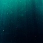 Deep Water - Underwater Photography of Deep Sea