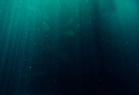 Deep Water - Underwater Photography of Deep Sea
