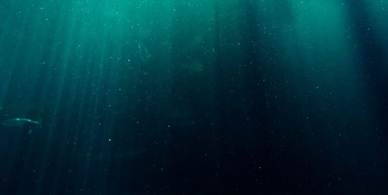 Deep Water - Underwater Photography of Deep Sea