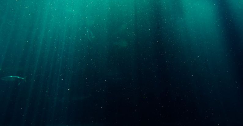 Deep Water - Underwater Photography of Deep Sea