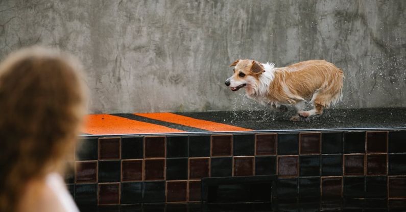 Pool Running - Unrecognizable woman against wet dog running on poolside